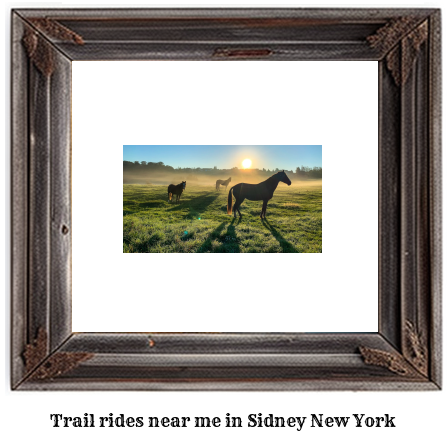 trail rides near me in Sidney, New York